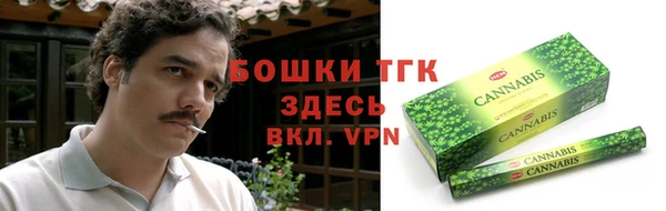 СК Алексин