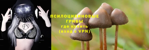 jwh Алзамай