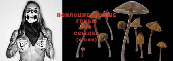 СК Алексин