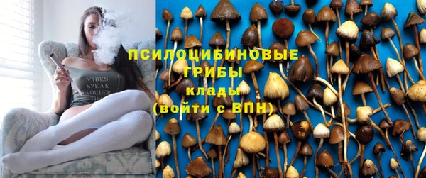jwh Алзамай