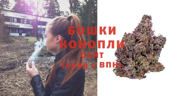 ALPHA PVP Алексеевка