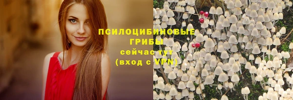 СК Алексин