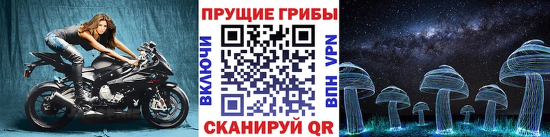Псилоцибиновые грибы Psilocybe  Николаевск 